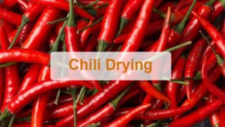 Chili drying machine | chili dryer | pepper drying equipment