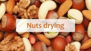 Nuts dryer | cashew&betel drying equipment