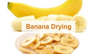 Banana drying | banana chips drying machine