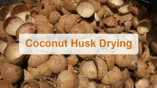Continuous mesh belt coconut husk drying machine
