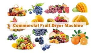 Taizy commercial fruit dryer machine for sale